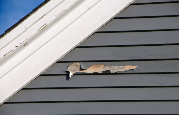 Siding for Commercial Buildings in Bude, MS
